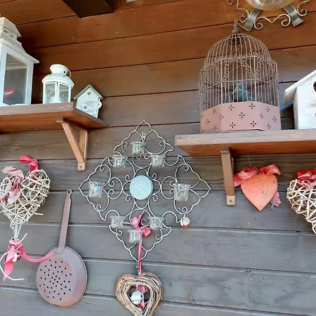 Teddybär Ski-to-door Appartement